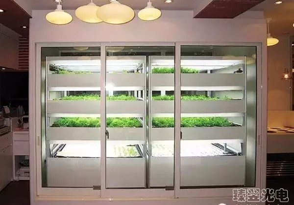 光纖照明，光導(dǎo)照明，植物栽培